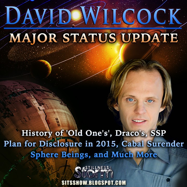 David Wilcock Major Update MEME