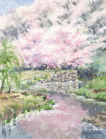桜の季節：F6