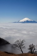 雲海富士