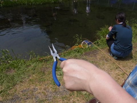 釣り針は「返し」が無いので魚の口から外すのは簡単ですが、口の奥に引っかかって取れにくいときは、先が細いラジオペンチがあると便利です。