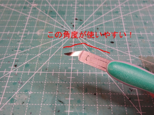 IMGP2859.jpg