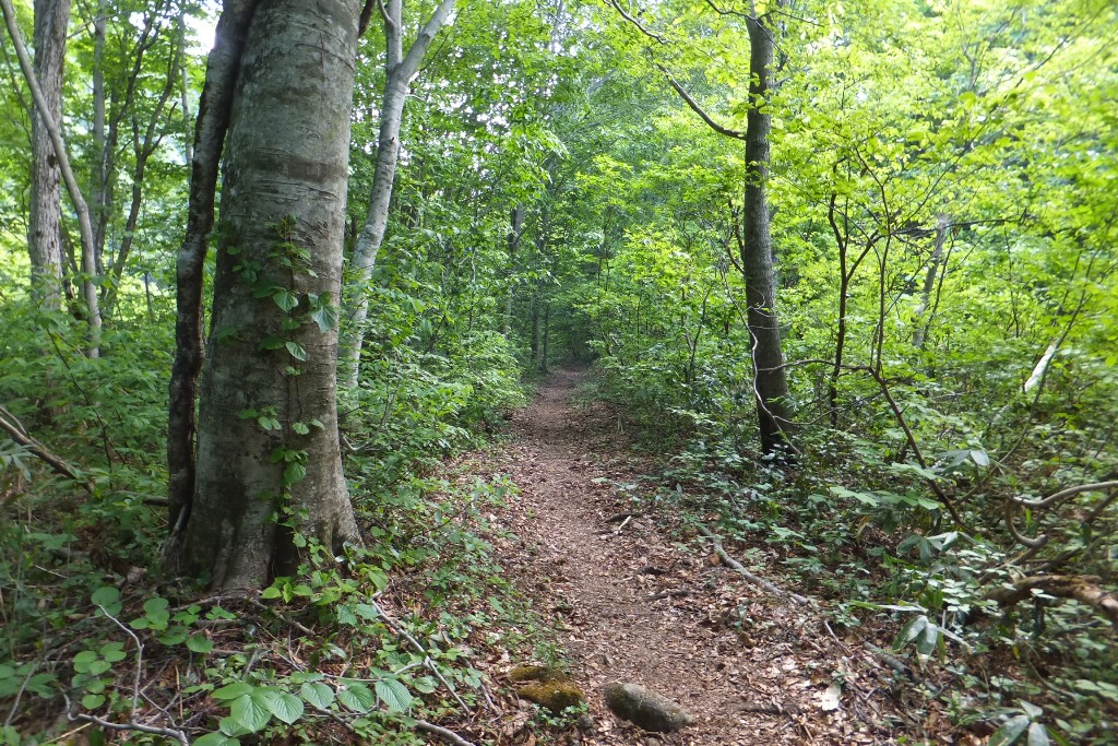 007_201506011247257ab.jpg