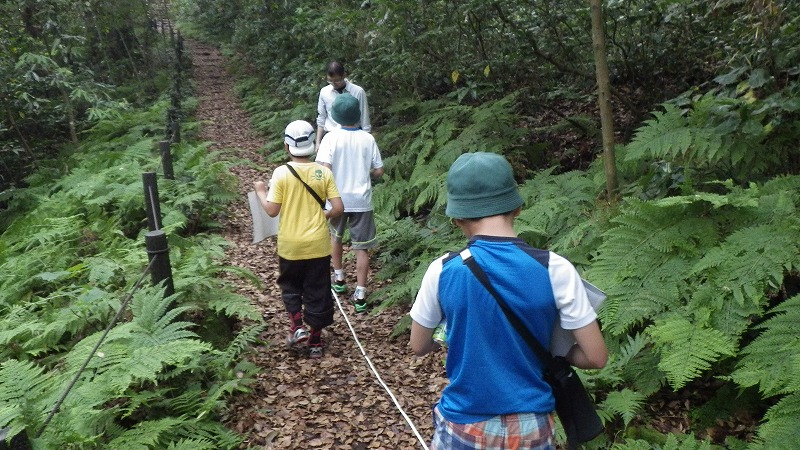 ⑨お林で実地学習、歩幅の長さを確認