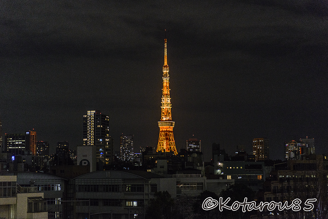 東京タワー 20150403