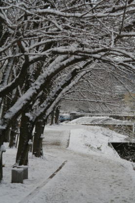 20150102-3雪景色