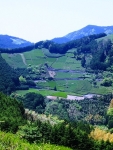 150502h19.jpg