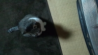 WP_001776.jpg