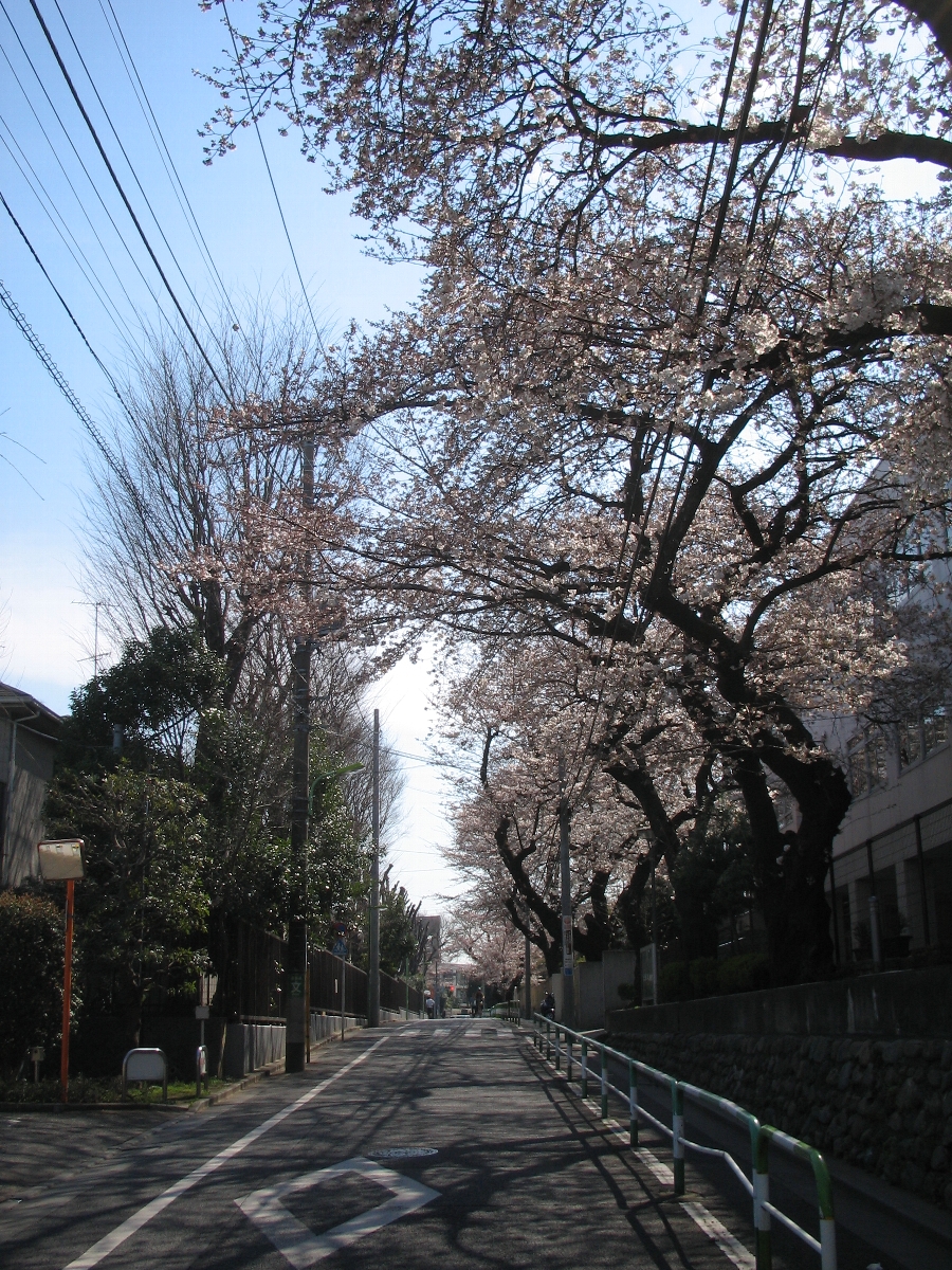 経堂・桜丘を歩く－３－
