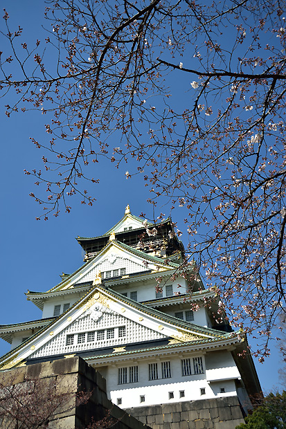 大阪城の桜2-2