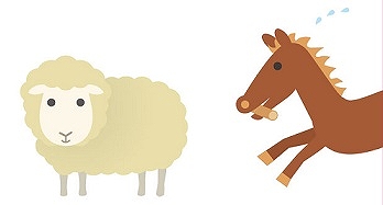 馬から羊