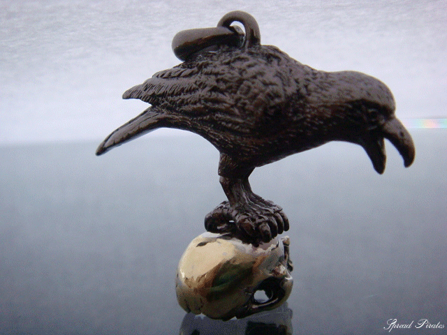 Silver Crow Necklace