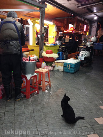 屋台のオープンを待つ台湾の猫