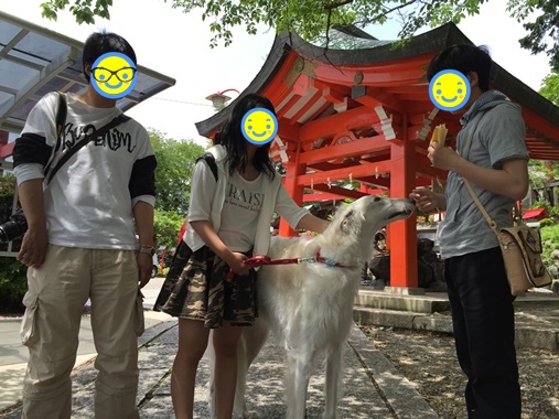 変換家族3編集